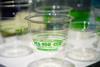 Eco-cup polymers